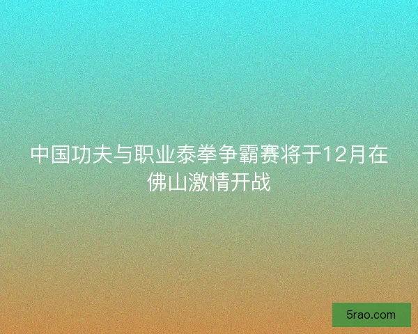 中国功夫与职业泰拳争霸赛将于12月在佛山激情开战